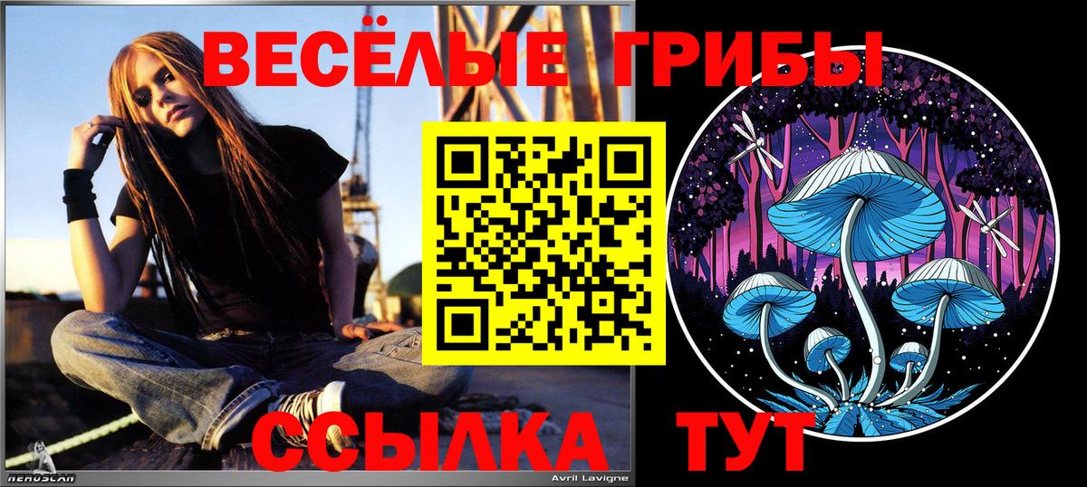 Североморск  Псилоцибиновые грибы прущие грибы  Псилоцибиновые грибы мухоморы  Вход с VPN 