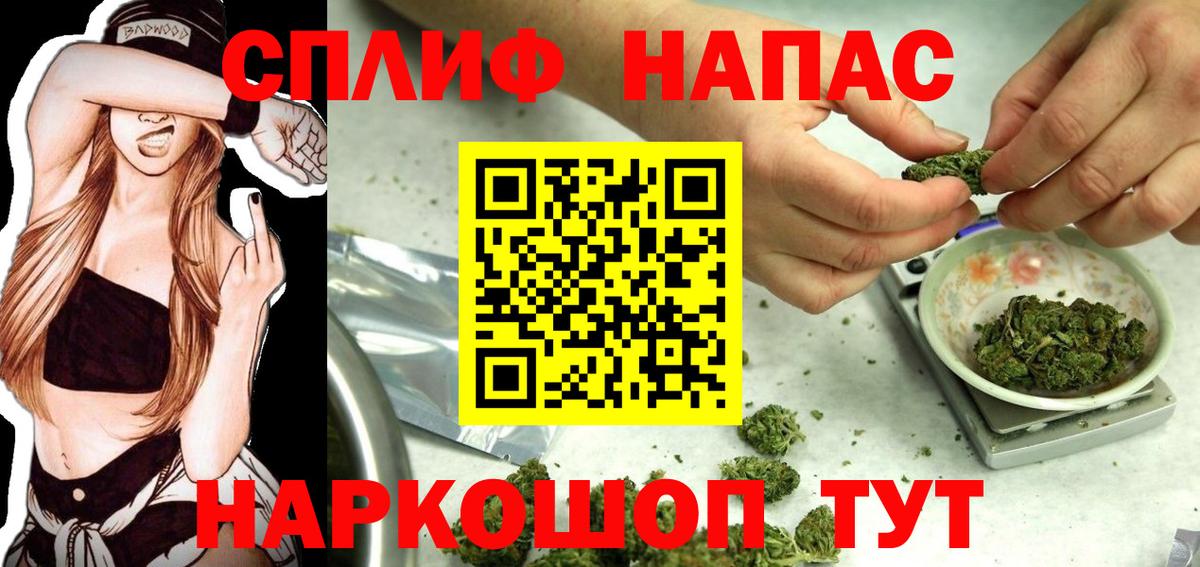 Каннабис планчик Североморск
